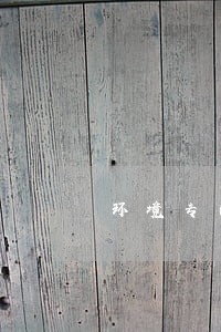 环境专门化如何顺势而为 环境专门化如何顺势而为