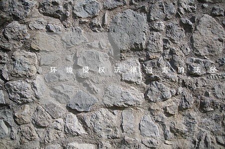 环境侵权法律问题的法经济学分析 环境侵权法律问题的法经济学分析