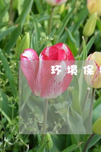 环境保护税逾期要交罚款吗 环境保护税逾期要交罚款吗