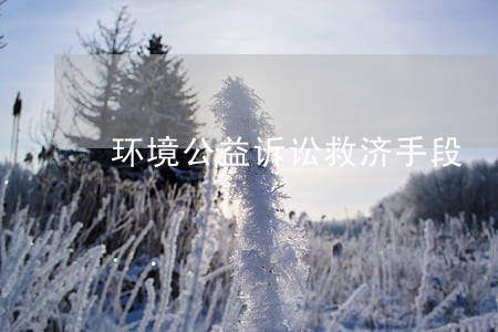 环境公益诉讼救济手段 环境公益诉讼救济手段
