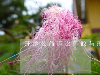 环境公益诉讼行政与刑事