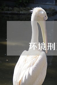 环境刑法视频 环境刑法视频