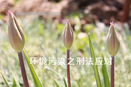 环境污染之刑法应对