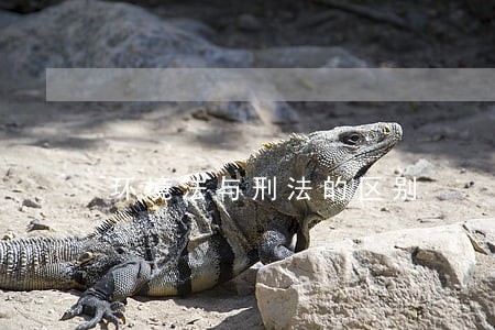 环境法与刑法的区别 环境法与刑法的区别