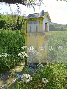环境法律关系的客体有什么