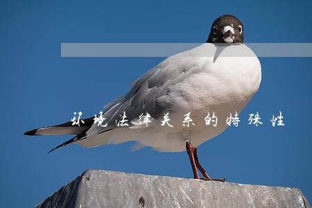 环境法律关系的特殊性 环境法律关系的特殊性