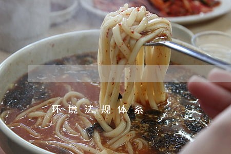 环境法规体系