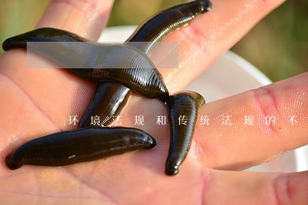 环境法规和传统法规的不同
