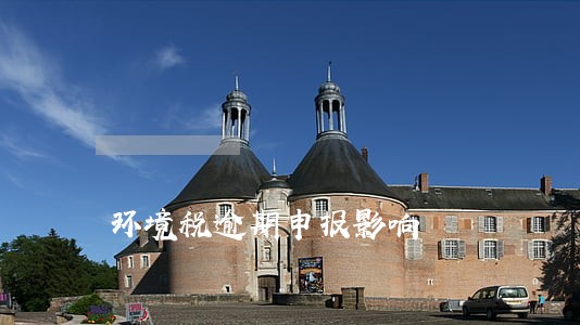 环境税逾期申报影响 环境税逾期申报影响