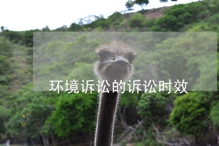 环境诉讼的诉讼时效 环境诉讼的诉讼时效