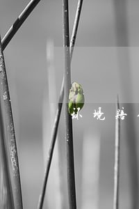 环境赔偿诉讼时效期限