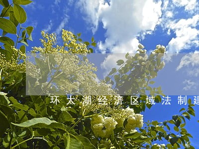 环太湖经济区域法制建设初探