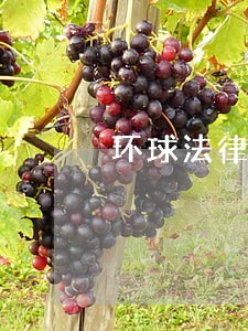 环球法律评论是c刊吗 环球法律评论是c刊吗