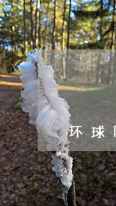 环球网校二建法规老师有哪些 环球网校二建法规老师有哪些