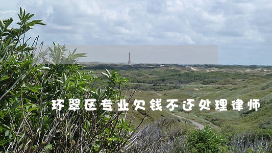 环翠区专业欠钱不还处理律师 环翠区专业欠钱不还处理律师