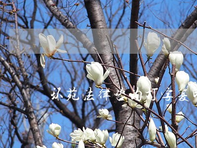 环苑法律咨询打字复印部 环苑法律咨询打字复印部