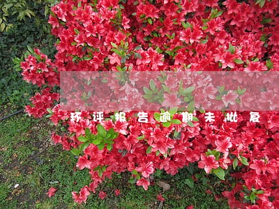 环评报告逾期未批复 环评报告逾期未批复
