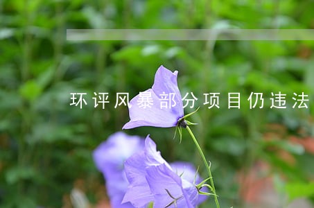 环评风暴部分项目仍违法 环评风暴部分项目仍违法