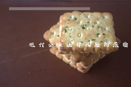现代企业法律风险防范指导 现代企业法律风险防范指导