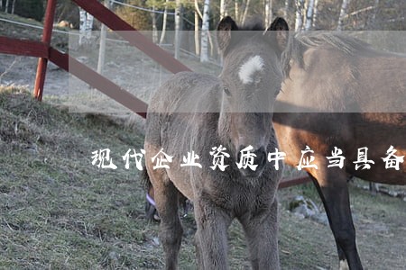 现代企业资质中应当具备法律要素 现代企业资质中应当具备法律要素
