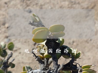 现代法国经济法