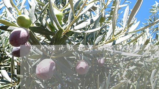 现代经济法最早的法律表现形式是 现代经济法最早的法律表现形式是