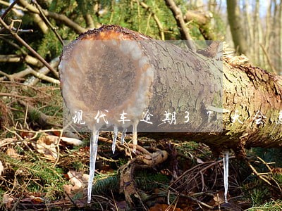 现代车逾期37天会怎样 现代车逾期37天会怎样