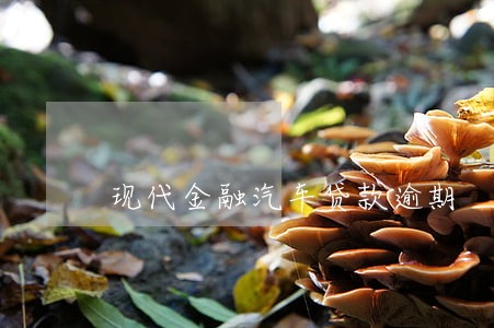 现代金融汽车贷款逾期 现代金融汽车贷款逾期