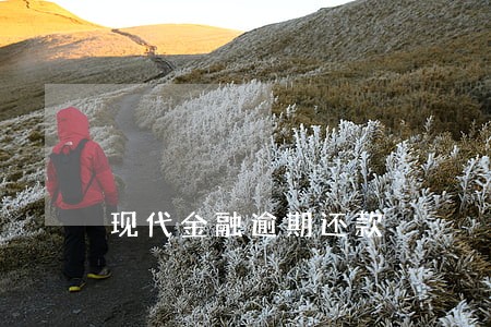 现代金融逾期还款 现代金融逾期还款