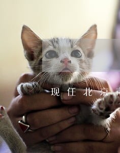 现任北京市司法局局长是谁 现任北京市司法局局长是谁