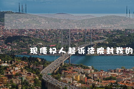 现债权人起诉法院封我的房子 现债权人起诉法院封我的房子