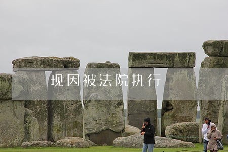 现因被法院执行 现因被法院执行