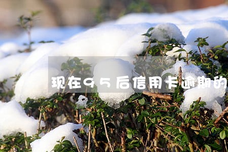 现在95后信用卡逾期的有多少人