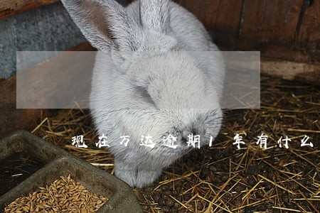 现在万达逾期1年有什么后果 现在万达逾期1年有什么后果