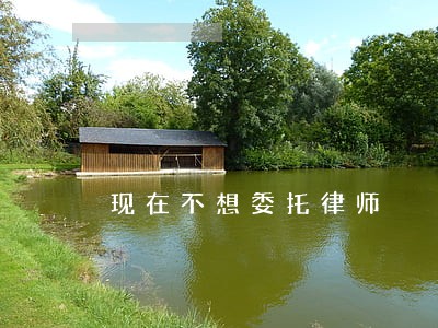 现在不想委托律师 现在不想委托律师