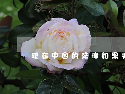 现在中国的法律如果夫妻离婚 现在中国的法律如果夫妻离婚