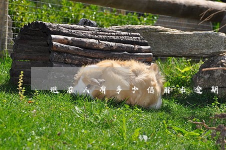 现在人有多少信用卡逾期 现在人有多少信用卡逾期