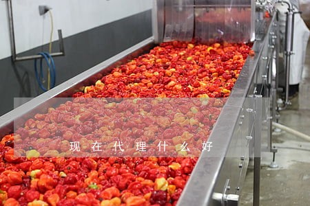 现在代理什么好 现在代理什么好