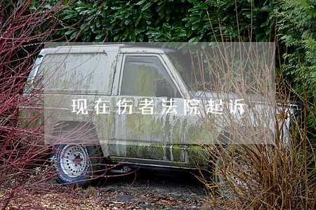 现在伤者法院起诉 现在伤者法院起诉