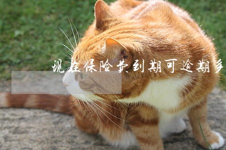 现在保险费到期可逾期多少天 现在保险费到期可逾期多少天