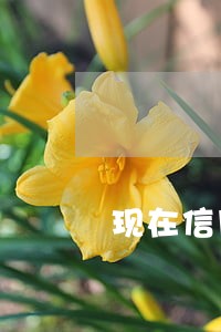 现在信用卡会逾期吗 现在信用卡会逾期吗