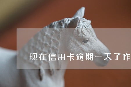 现在信用卡逾期一天了咋办 现在信用卡逾期一天了咋办