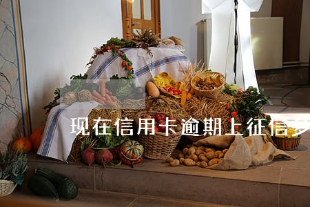 现在信用卡逾期上征信多久会消除 现在信用卡逾期上征信多久会消除