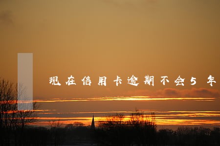 现在信用卡逾期不会5年清除 现在信用卡逾期不会5年清除