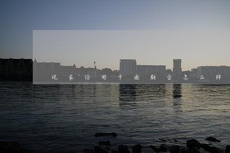 现在信用卡逾期会怎么样