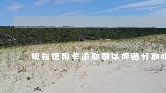 现在信用卡逾期可以停账分期吗 现在信用卡逾期可以停账分期吗
