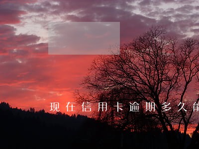 现在信用卡逾期多久能恢复 现在信用卡逾期多久能恢复