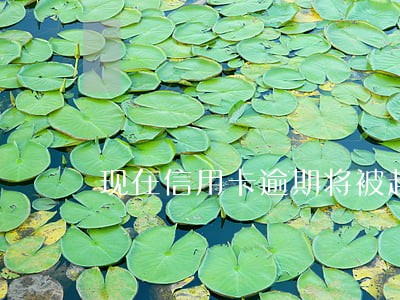 现在信用卡逾期将被起诉 现在信用卡逾期将被起诉