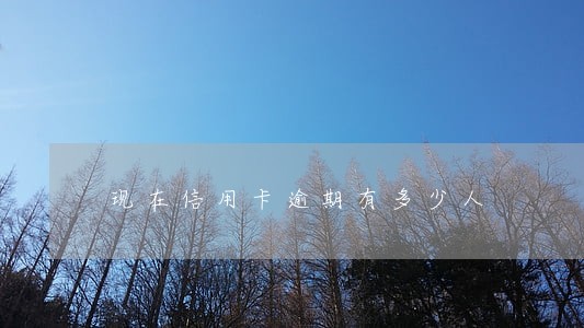 现在信用卡逾期有多少人