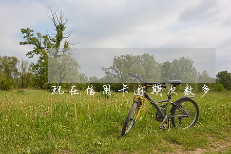 现在信用卡逾期次数多